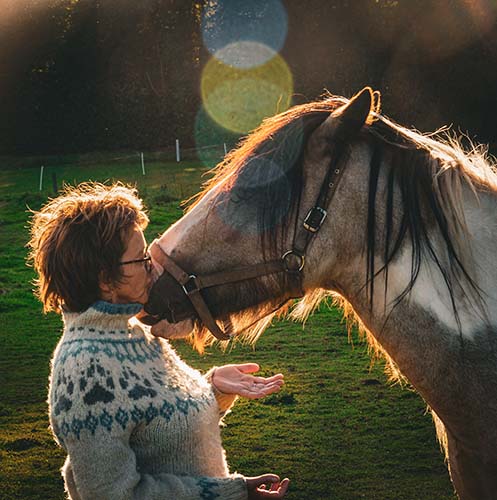 Billede af Winnie og hest